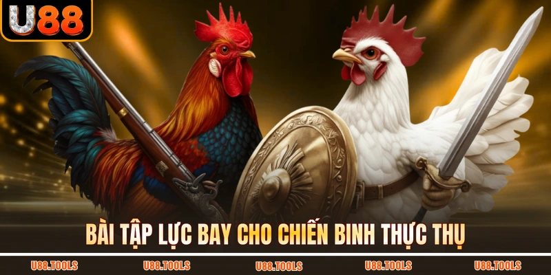 Bài tập lực bay cho chiến binh thực thụ